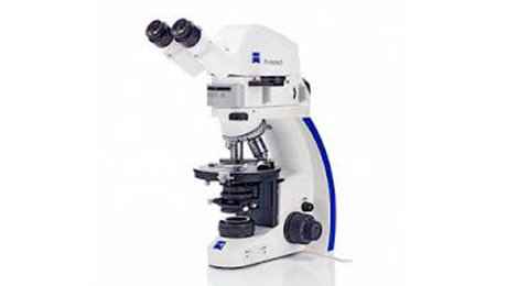 optical microscope