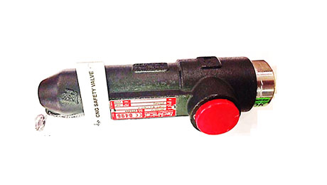 شیر اطمینان 